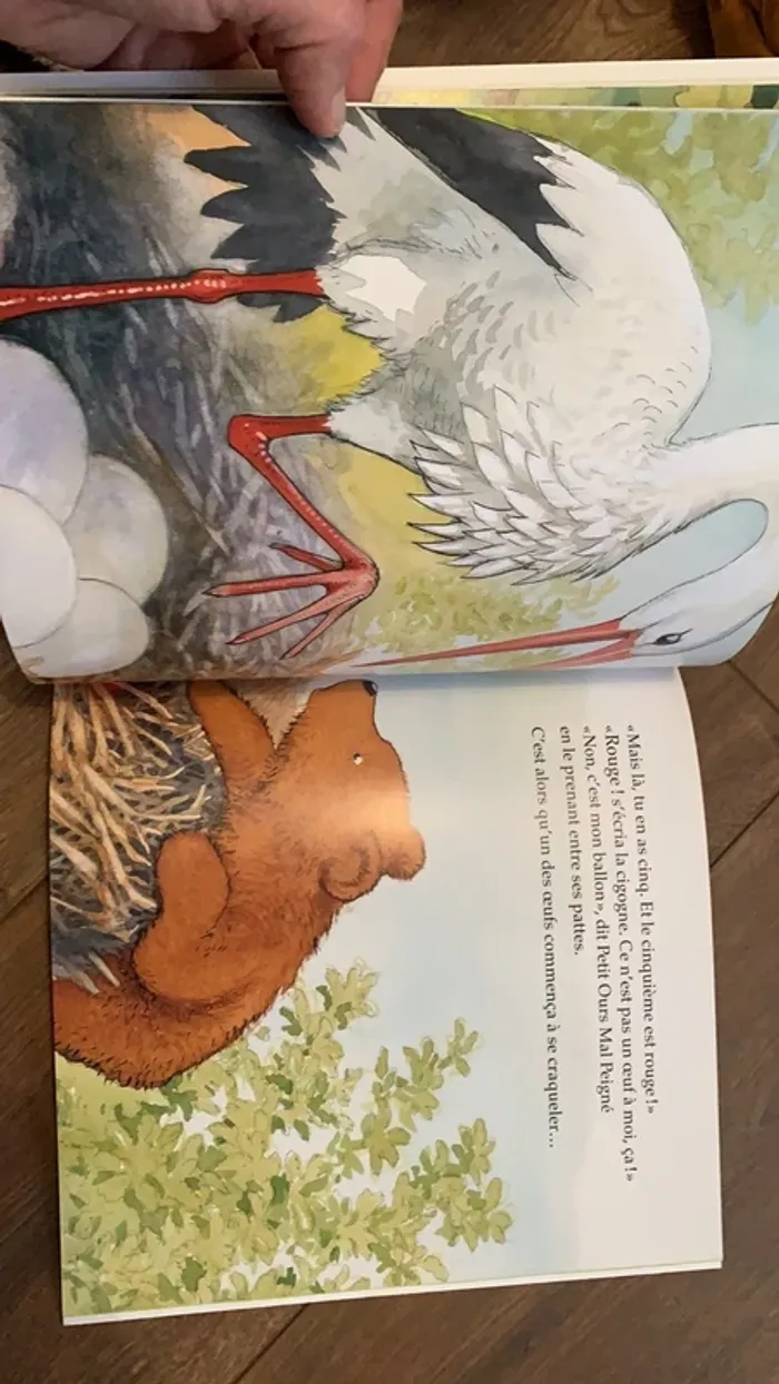 Livre le petit ours mal peigné et le ballon rouge - photo numéro 9