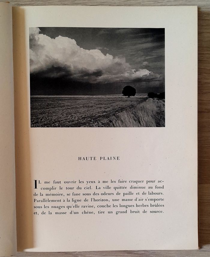 Luc Dietrich - Terre - photo numéro 7