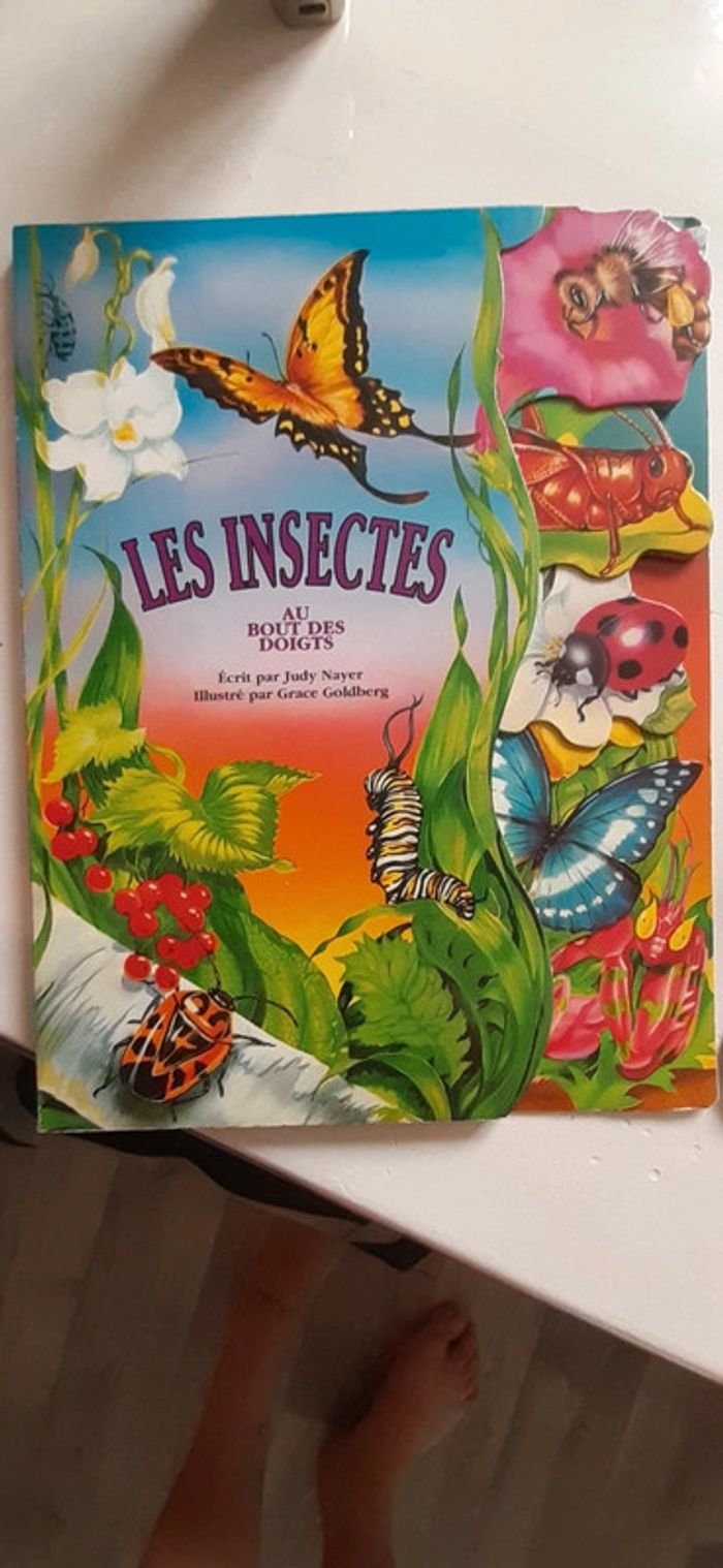 Livre enfant les insectes