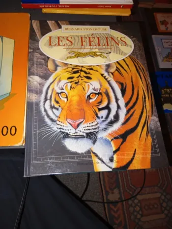 Les félins