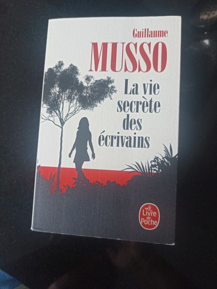 La vie secrète des écrivains