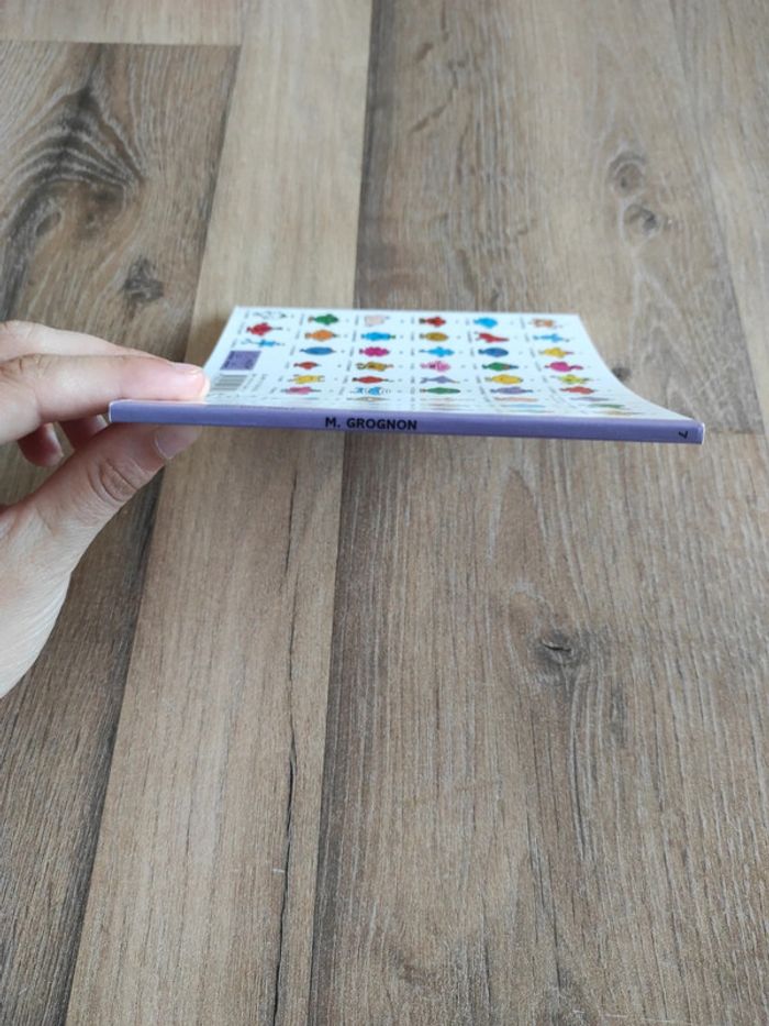 Livre : M. Grognon - photo numéro 3