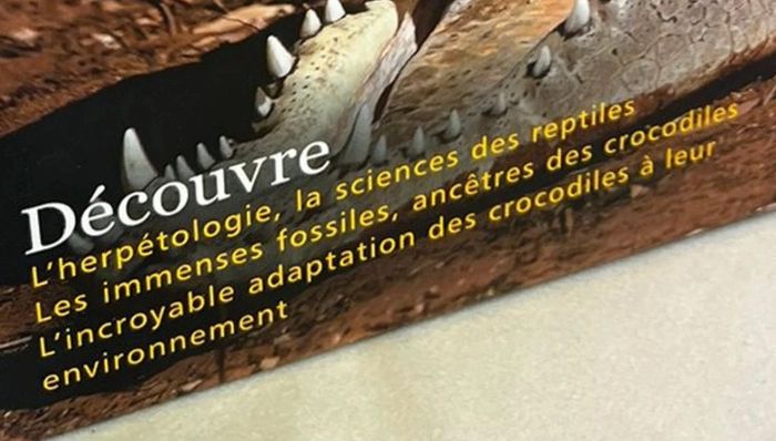 Planète extrême : Crocodiles - photo numéro 5