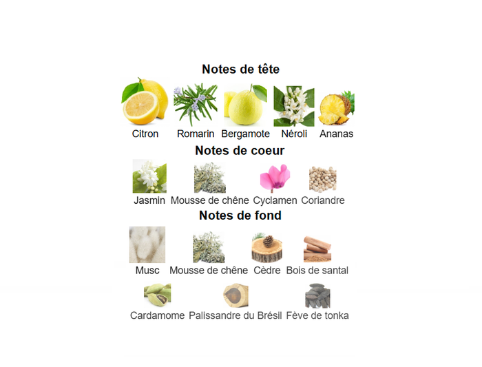 platinum " inspi d'Azzaro Chrome " Eau de toilette homme 100 ml - photo numéro 4