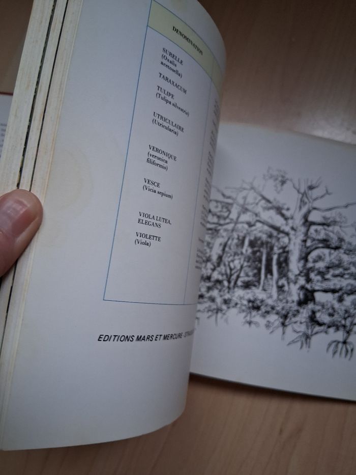 Ancien livre sur les fleurs d'Alsace - photo numéro 5