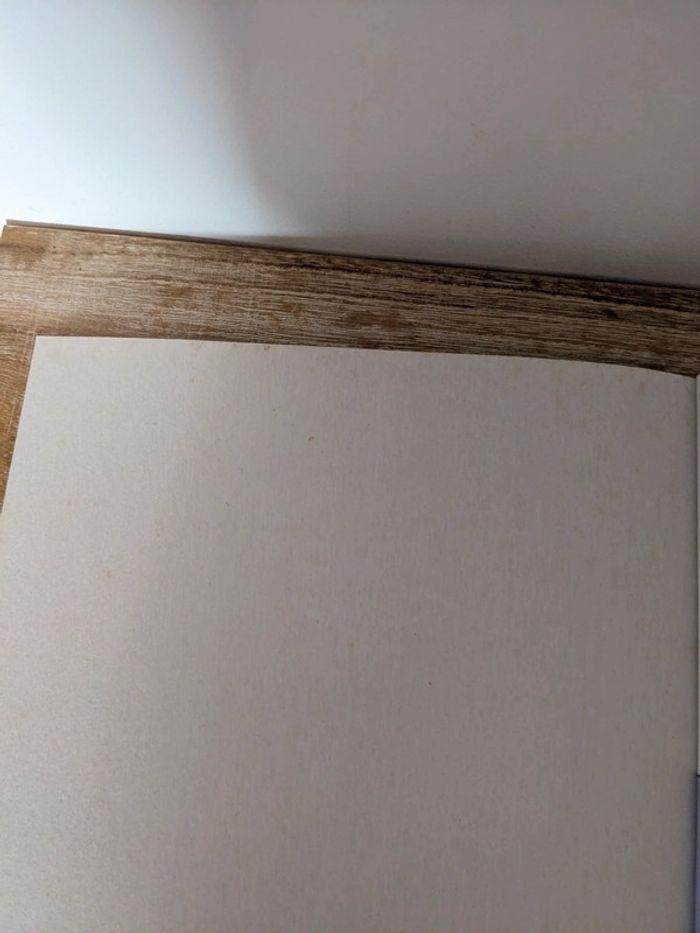 Les femmes en blanc - photo numéro 3