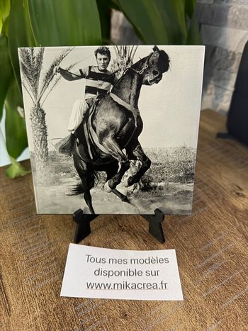 Carrelage Johnny Hallyday 