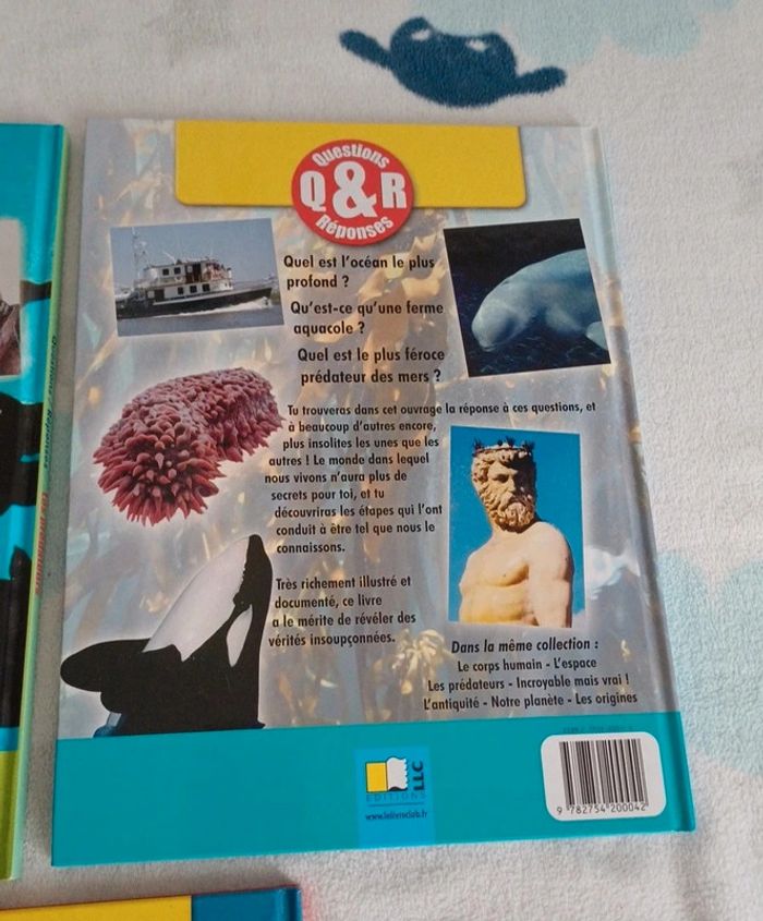 Livres questions/réponses sur le monde - photo numéro 8