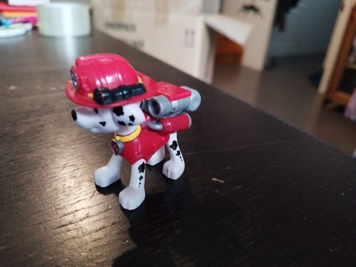 Marcus pat patrouille - photo numéro 2