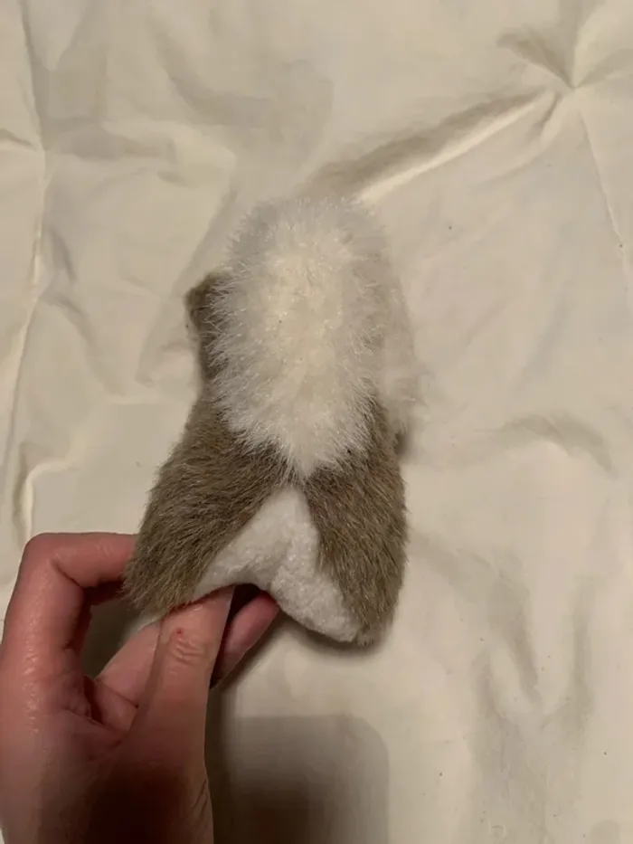 Peluche chien - photo numéro 3