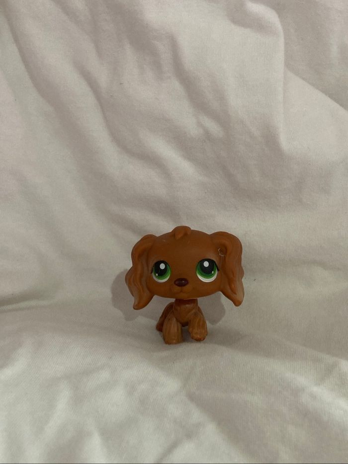 lps cocker - photo numéro 5