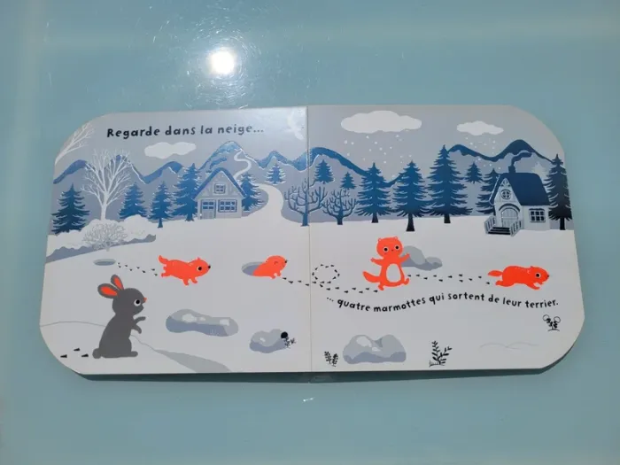 Livre à toucher grand format 🐇 Regarde dans la neige 🌨 - photo numéro 7