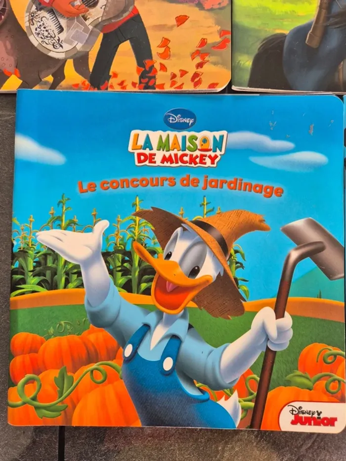 Lot de 5 Livres Disney - photo numéro 5