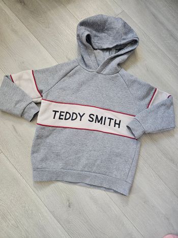 Sweat a capuche teddy smith