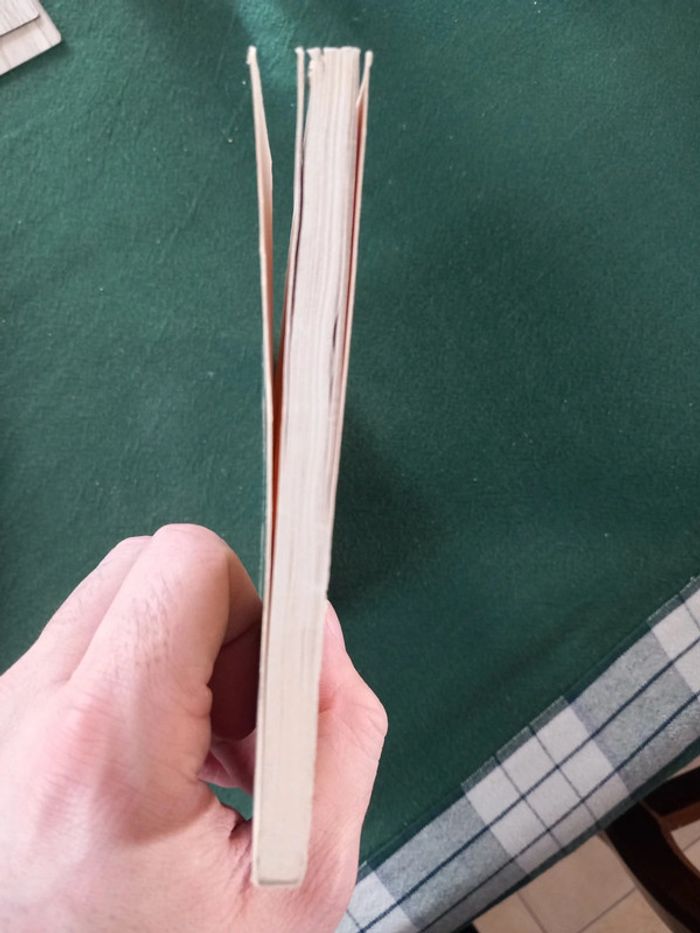 Le spleen de Paris - photo numéro 6