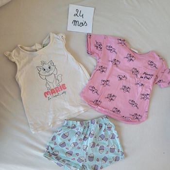Lot tee shirt et short 24 mois