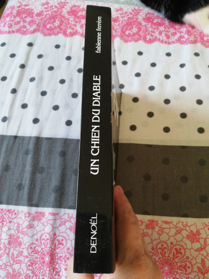 Un chien du diable - photo numéro 3