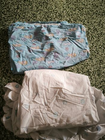 Drap housse reine des neiges