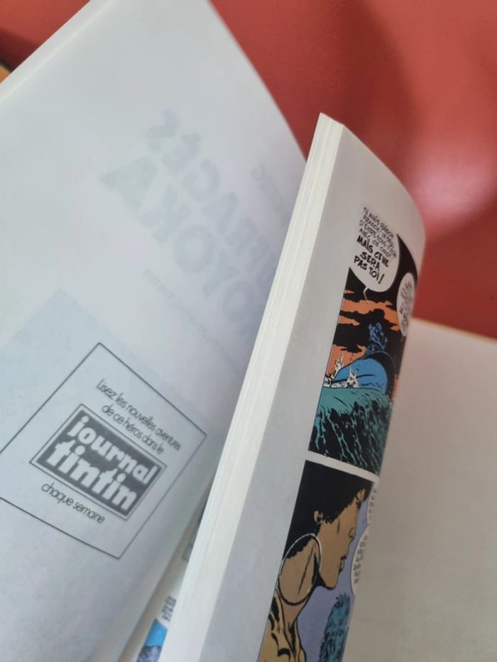 bd Les Naufragés d'arroyoka 1983 Le Lombard - photo numéro 11