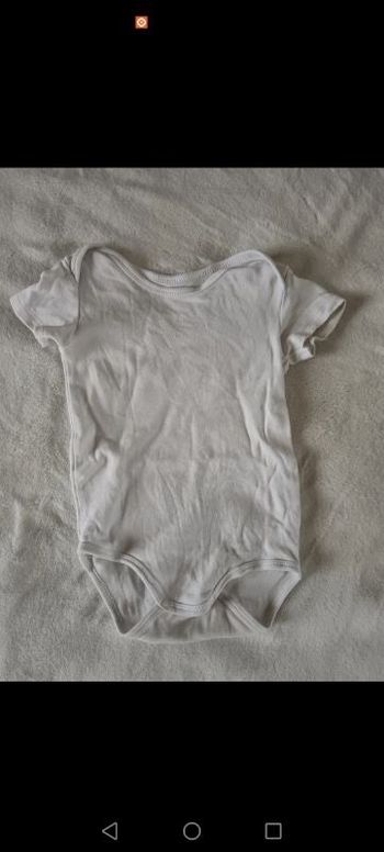 Body