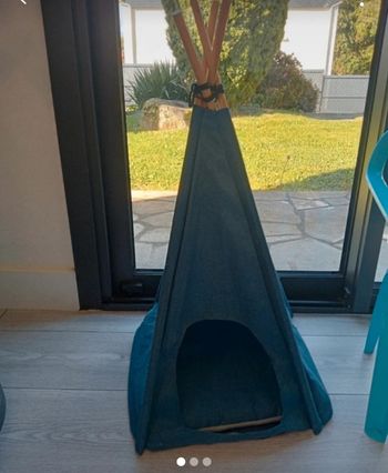 Tipi pour chats