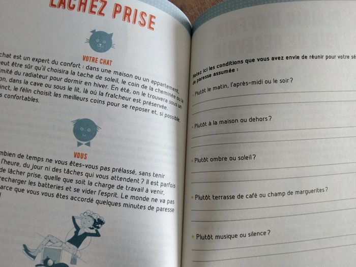 Livre chat de Isabelle Collin - photo numéro 3