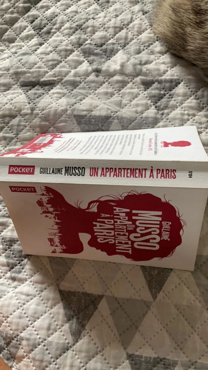 #un appartement à Paris Musso ) - photo numéro 4
