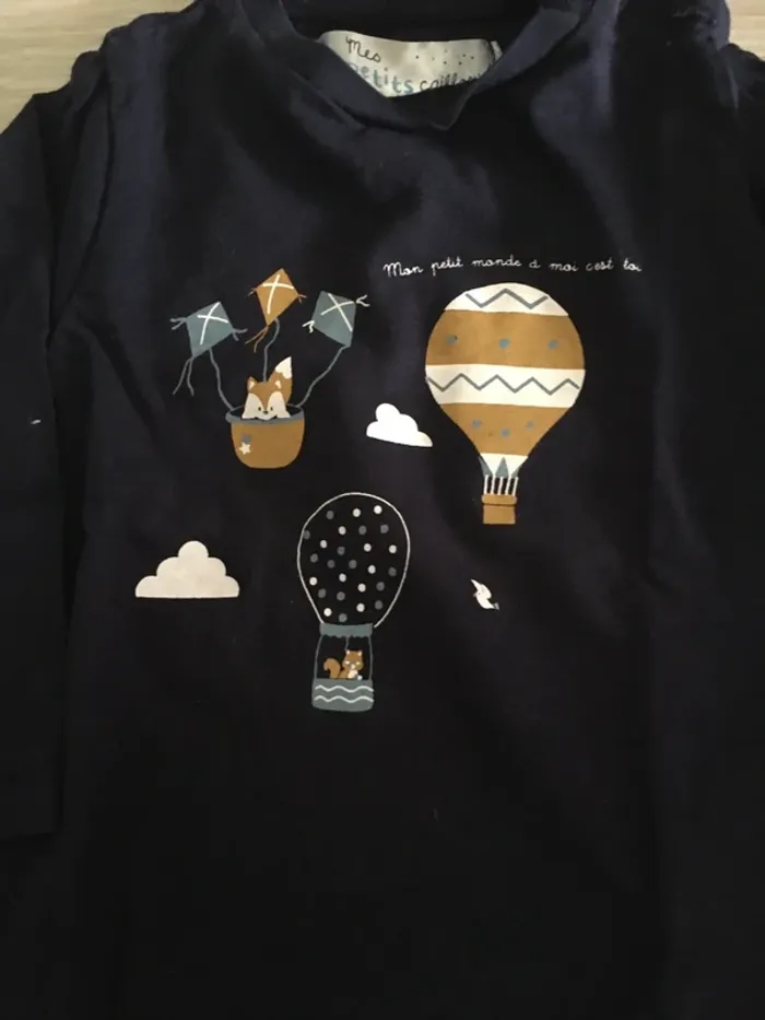 Ensemble salopette + t-shirt manches longues mes p’tits cailloux 9 mois - photo numéro 5