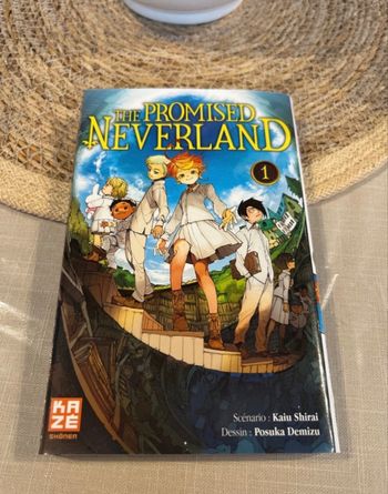 The promised Nerverland