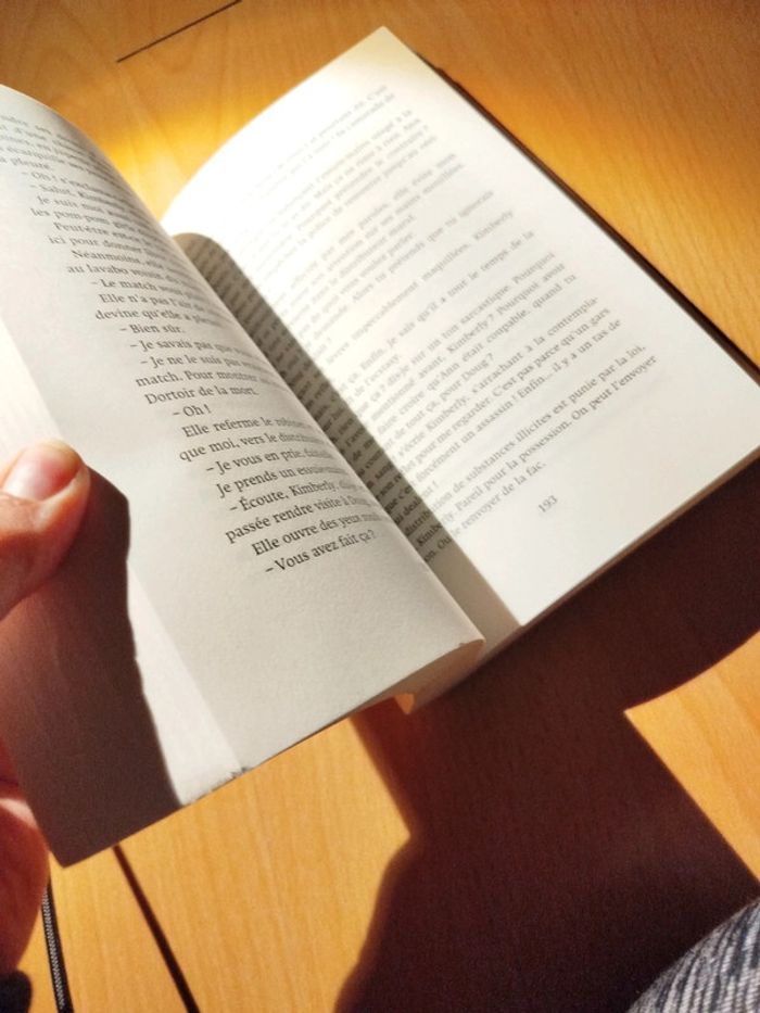 Une irrésistible envie d'aimer roman - photo numéro 5