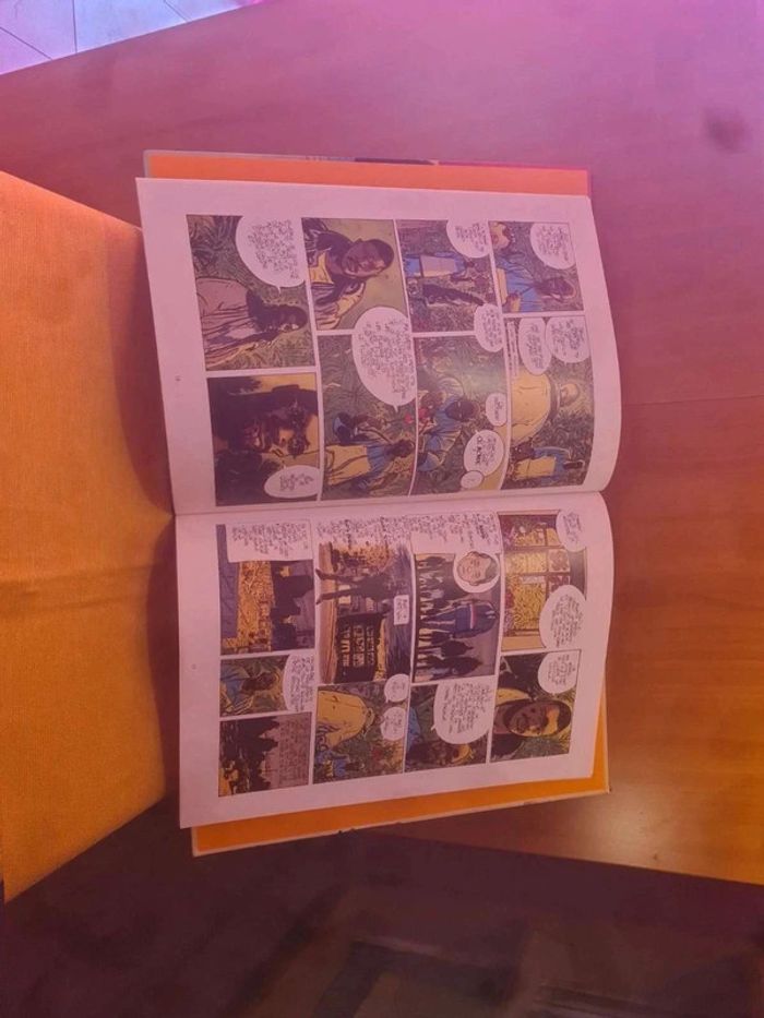 Bd A.D Grand-rivière 2001 - photo numéro 5