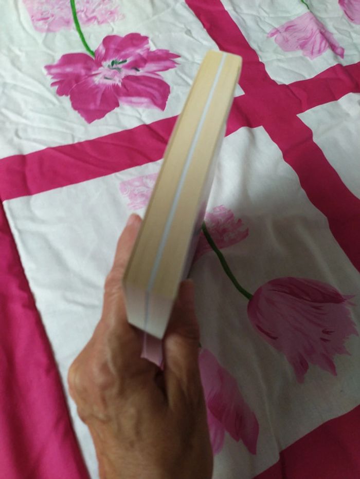 Babeth Je me souviens de nous - photo numéro 4