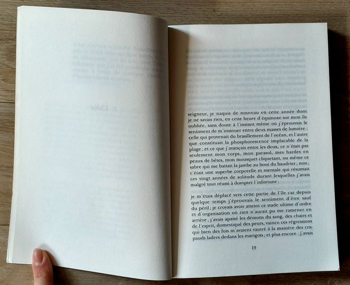 Patrick Chamoiseau - L'empreinte à Crusoé récit - photo numéro 6