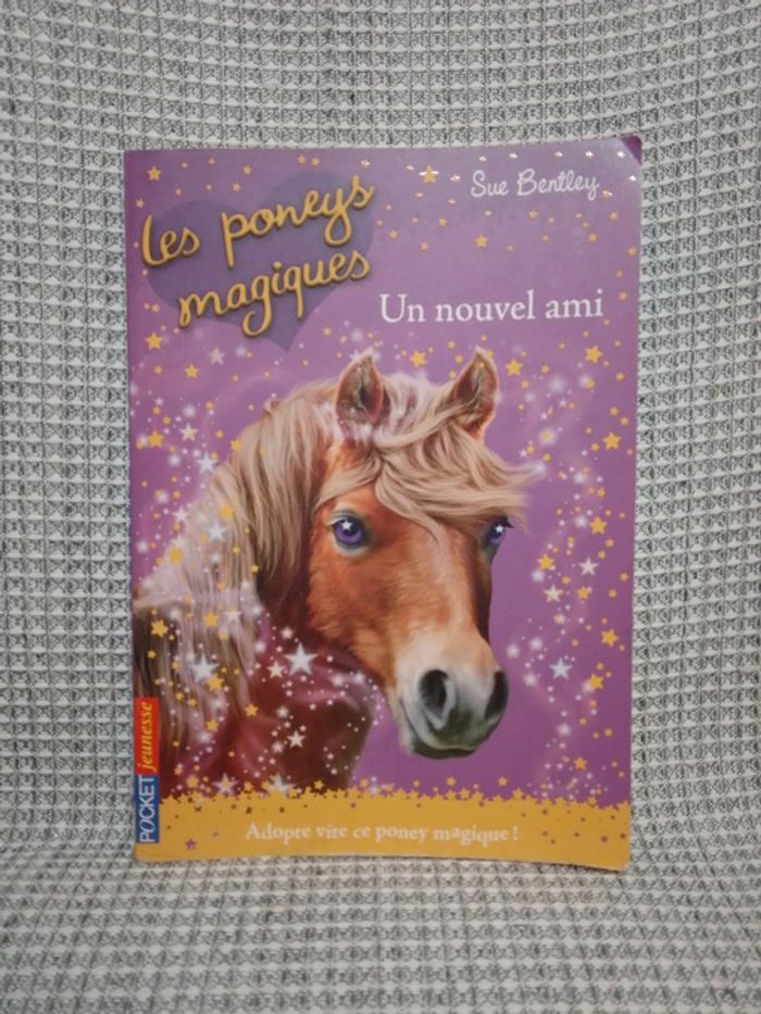 Un Nouvel Ami - Les Poneys Magiques T.1