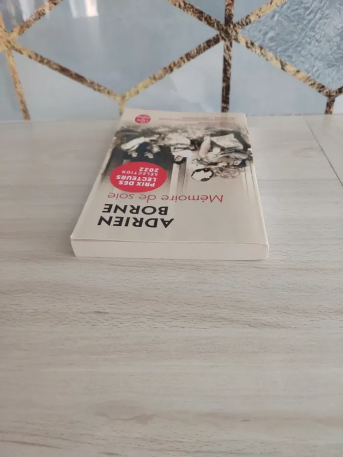Livre poche mémoire de soie Borne - photo numéro 4