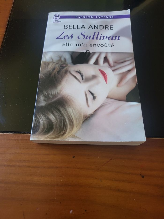 Livre 📖 les sullivan elle m'a envoûté