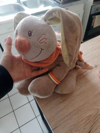 Peluche d'activité