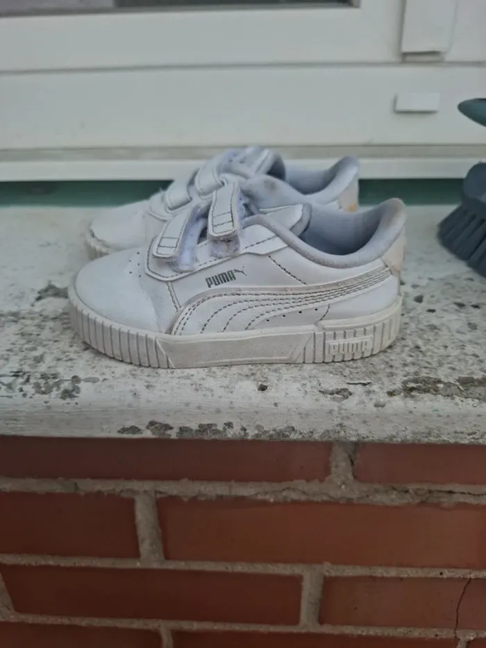 Puma taille 24 - photo numéro 3