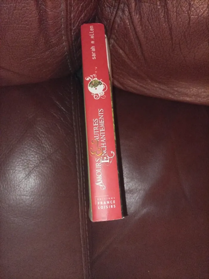 Livre amour & autres enchantements - photo numéro 3