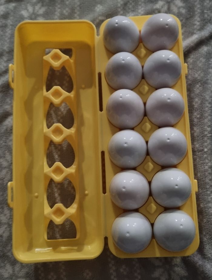 Boite a oeufs - photo numéro 2