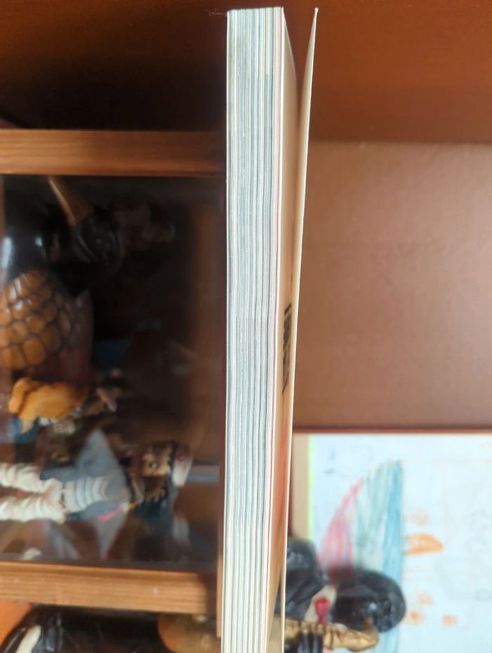 Le miroir de la grande guerre - photo numéro 5