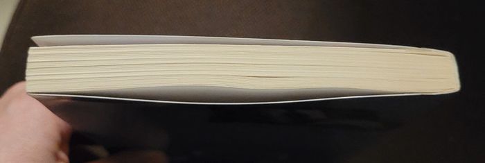 Livre "Adieu Benjamin" - Chantal Cahour- État neuf - photo numéro 5