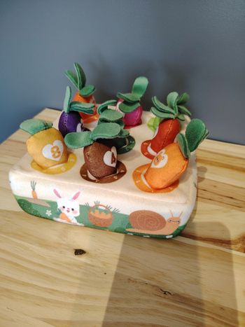 Jeux récoltes carottes