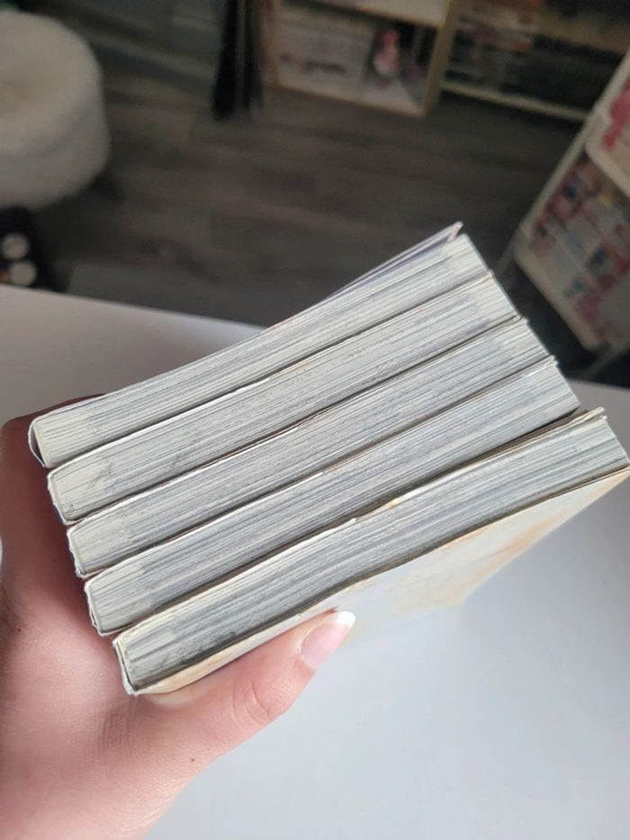 Lot 5 premiers tomes du manga rozen maiden saison 1 - photo numéro 14