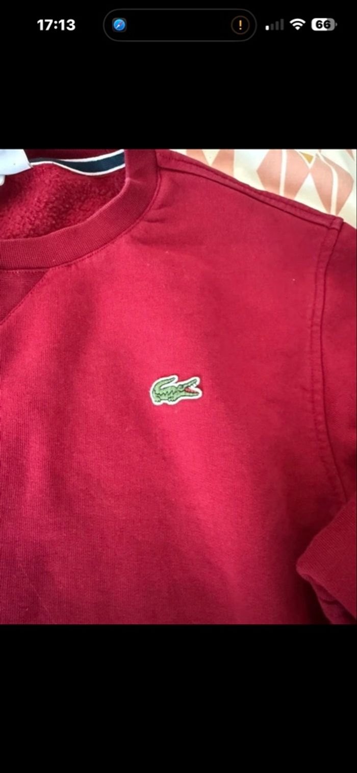 Pull Lacoste rouge - photo numéro 4