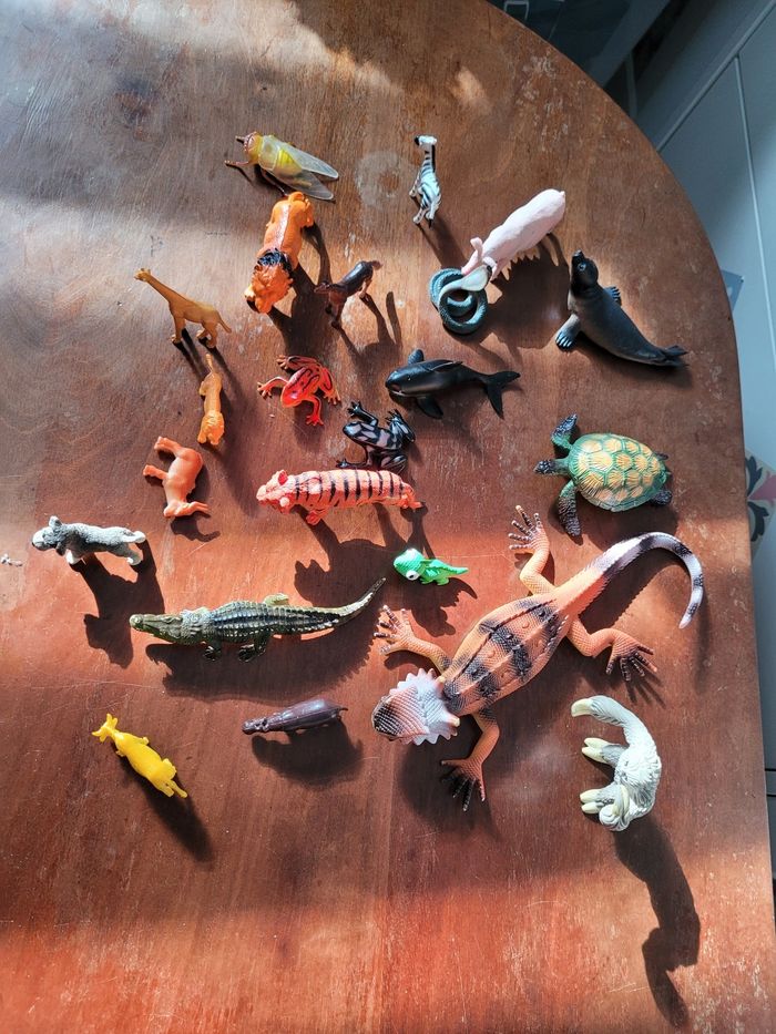 lots de petits animaux  (5e)