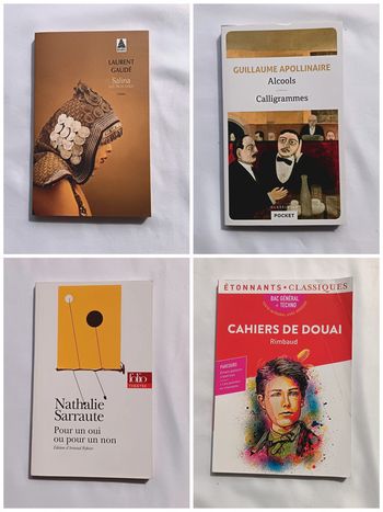 4 lots livres de français pour le bac