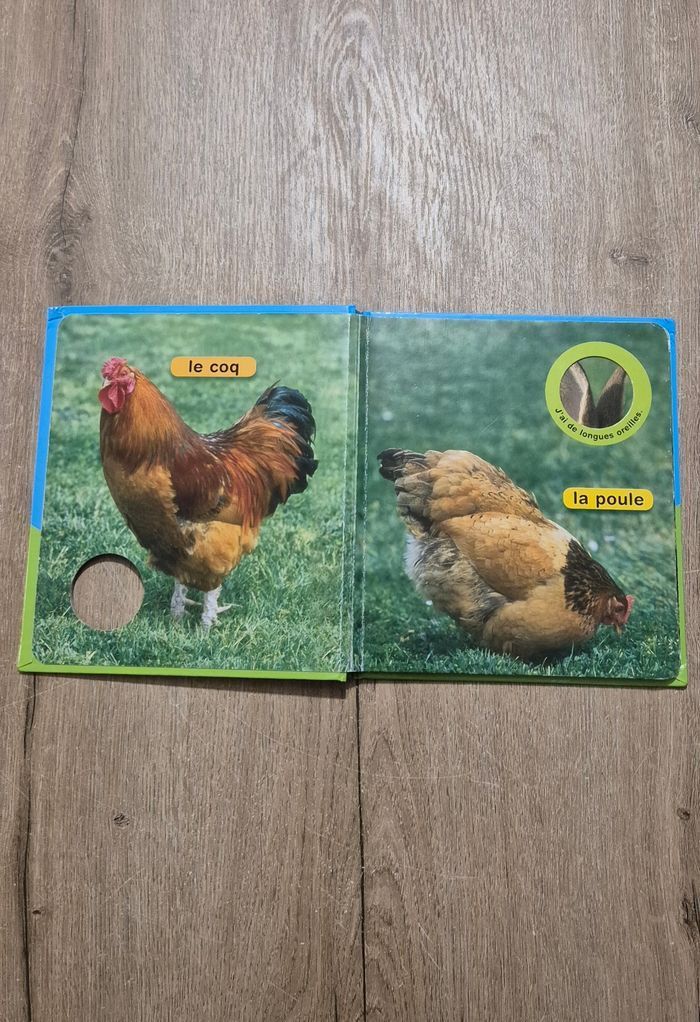 Livre Coucou la poule - photo numéro 3