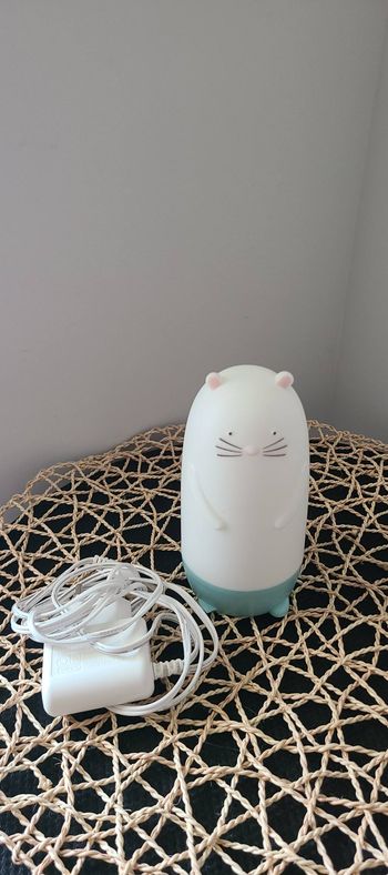 SPIKEN Veilleuse à LED, forme de loutre multicolore