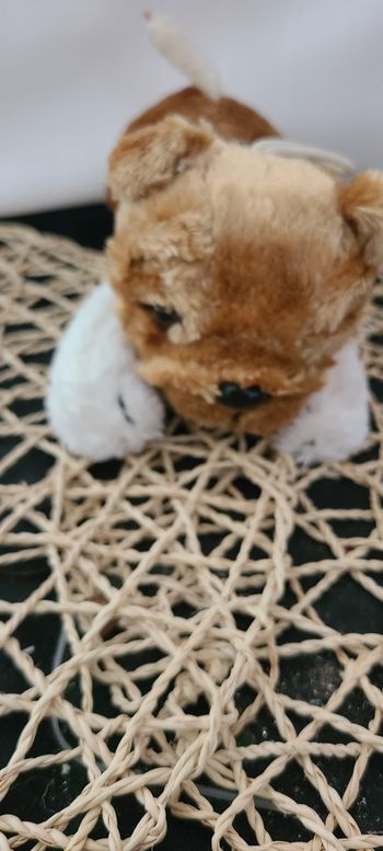 Peluche bouledogue canine collier noir